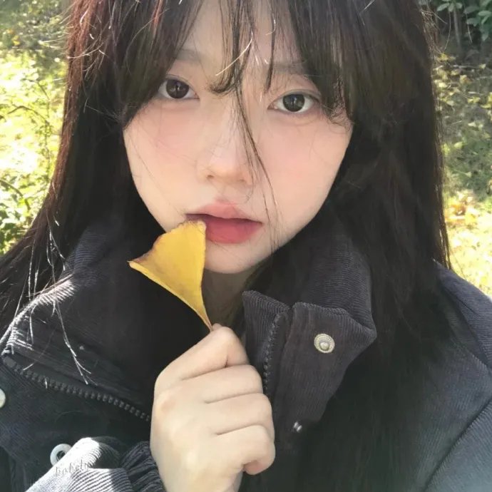 侦探米娜 封面